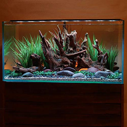 Current USA 72" Inch Satellite Freshwater LED Plus Full Spectrum RGB+W Light for Aquariums | Wireless 24 Hour Remote Control Fish Tank Lighting (4509)