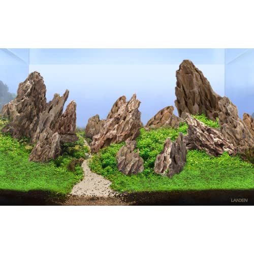 Natural Dragon Stones (16lbs, 2~8 inches,7-8pcs) for Aquascaping Terrariums, Paludariums,Vivariums, Reptile and Amphibian Enclosures - size: 01 Dragon(Ohko) Stone(2-8inch,16lbs)