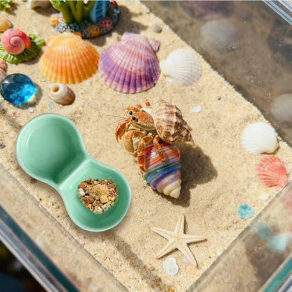 2 Pack Ceramic Hermit Crab Food Dish Hermit Crab Water Bowl Reptile Water Bowl Aquarium Accessories for Snail Frog Bearded Dragon Lizard Gecko Tortoise