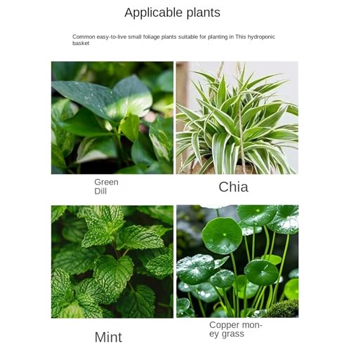 Aquarium Plant Holder, Versatile Placement, 15x10x12cm, Fish Tank Greenery, Planted Aquarium Shelf, Fish-Friendly, for Corner, Shelf, Underwater Vine, Moss