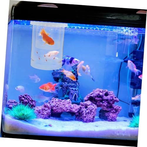 BESPORTBLE 1 Set Floating Fish Breeding Box Aquarium Isolation Incubator for Fry Clownfish Guppy Betta and Shrimp Easy Clean Automatic Water Level Sturdy Design - size: 14.50X9.80X9.80CM