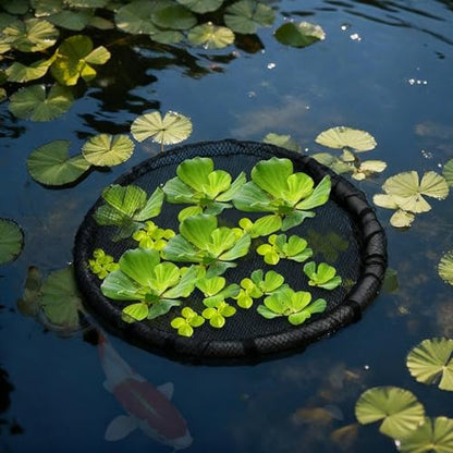 2 Pieces Round Floating Plant Fish Barrier Floating Plant Island Floating Island Plant Protector Pond Plant Protector Protect Your Floating Plants from Pond Fish