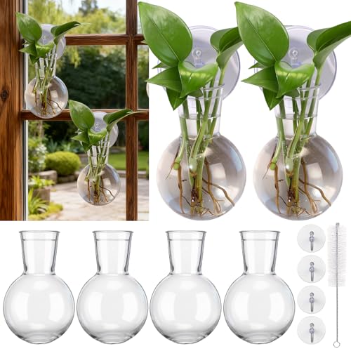 6 Pack Window Propagation Stations Plastic Wall Hanging Planter with Suction Cups Brush Window Suction Plant Holder Vases Tubes Terrarium for Home Office Decor (Bulb)