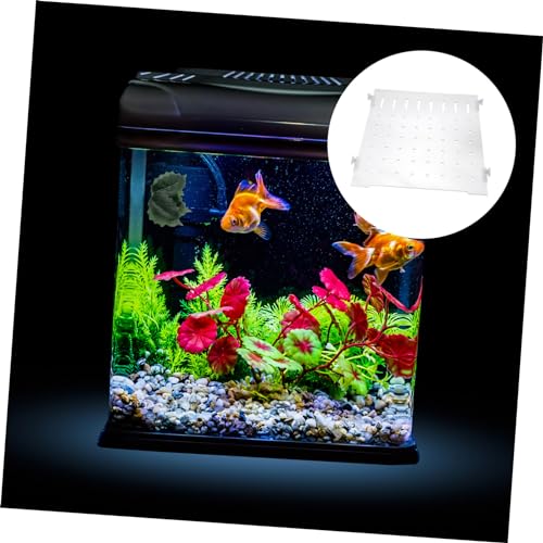 Yardwe 1Set Creative Isolation Plate for Fish Tank Segregation Board with Double Corner Suckers Easy Installation Fish Tank Accessories for Safe Fish Separation