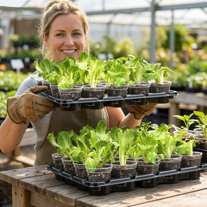 3 Inch Seed Starting Trays with Humidity Domes for Plants, 4 Pack 20-Cell Seedling Starter Trays, Plant Starter Germination Trays for Pots Seedlings for Indoor,3" Opening Compatible Pots - size: 3 Inch, style: 4 Pack Seed Starter Tray+Humidity Dome