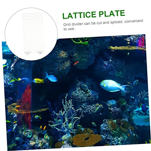 LIOOBO Aquarium Isolation Panel Lattice Plate Spliced Fish Tank Divider Suction Cups 30x15cm 4pcs for Mixed Breeding and Isolation in Aquariums Random Color