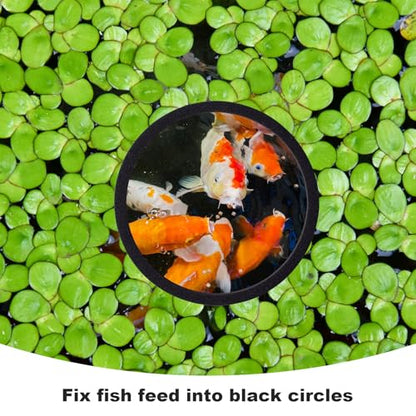 10pcs Fish Feeding Rings Set, 5 Sizes Round Floating Aquarium Plant Corral, Fish Tank Aquarium Accessories for Betta (Black)