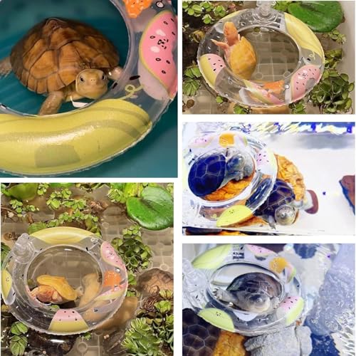 5 Pack 4.3 Inch Inflatable Turtle Swimming Ring Turtle Floating Platform Toy Small Animal Floaties Swimming Ring Basking Rest Dock for Turtle Tortoise (Fruit)