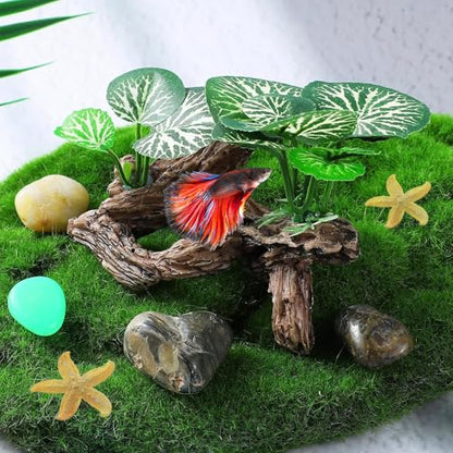 Star-Fish Silk Leaf pad Hammock Artifical Driftwood cave Fish Tank Decorations, Aquarium Decor Driftwood cave x 1pc, Fish Tank Accessories Starfish x 2pcs
