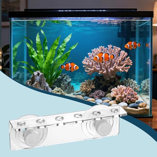 Versatile Acrylic Stand, Ideal for Corals, 6 Holes