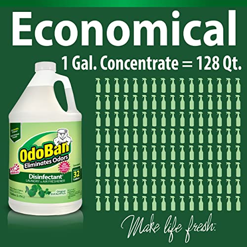OdoBan Disinfectant Odor Eliminator and All Purpose Cleaner Concentrate, Original Eucalyptus Scent, 1 Gallon - size: 128 Fl Oz (Pack of 1)