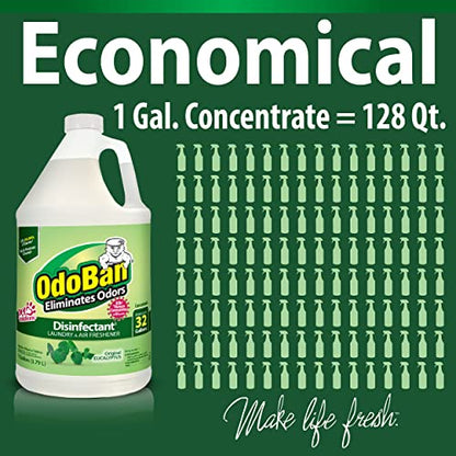 OdoBan Disinfectant Odor Eliminator and All Purpose Cleaner Concentrate, Original Eucalyptus Scent, 1 Gallon - size: 128 Fl Oz (Pack of 1)
