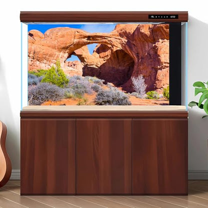 Double Arch Reptile Terrarium Background Sunny Blue Sky Bush Thorns Terrarium Background Arid Barren Cactus Sandstone Reptile Tank Background Arch Rock Mountain Reptile Habitat Background 24x12in