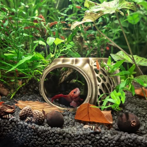 Betta Lair | Swim Through Aquarium Cave & Hideaway – Fish Tank Decoration with Shrimp Feeding Dish for Betta, Shrimp & Small Fish (Clear White, Small)