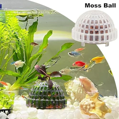 Moss Hemisphere Colonization Ball Aquarium Shrimp Fish Tank Moss Balls Holder Freshwater Live Plants Shaping Ball with Filter Stone