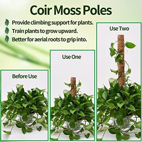 6 Pcs Moss Pole Extending to 68 Inches for Plants Monstera, Plant Support Stakes for Indoor Climbing Plants Grow Upwards, with 65ft Twist Ties, 13ft Jute Rope, 6.5ft Hook-and-Loop Strip - size: 6 Packs