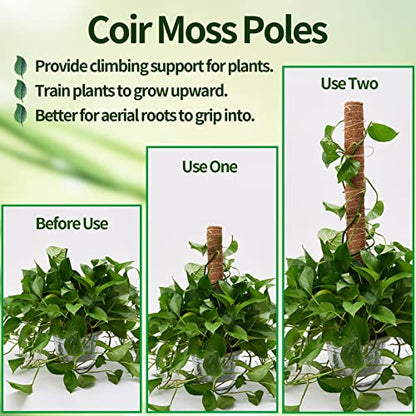 6 Pcs Moss Pole Extending to 68 Inches for Plants Monstera, Plant Support Stakes for Indoor Climbing Plants Grow Upwards, with 65ft Twist Ties, 13ft Jute Rope, 6.5ft Hook-and-Loop Strip - size: 6 Packs