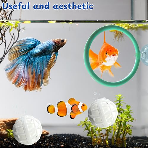 Betta Fish Exercise Ring and Filter Balls Set, Fish Feeder Ring and Nitrifying Ball, Betta Fish Toys for Small Tank, Betta Ring, Beta Fish Training Loop, Aquarium Toys for Pets Turtle (Green, M-70mm)