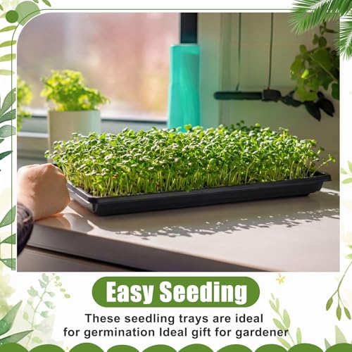 20 Pack 1020 Seed Starting Tray Heavy Duty Plant Growing Flat Seedling for 72/128 Cell Plug Plant Nursery Tray No Hole Germination Transplant for Microgreens Gardening Greenhouse (L)