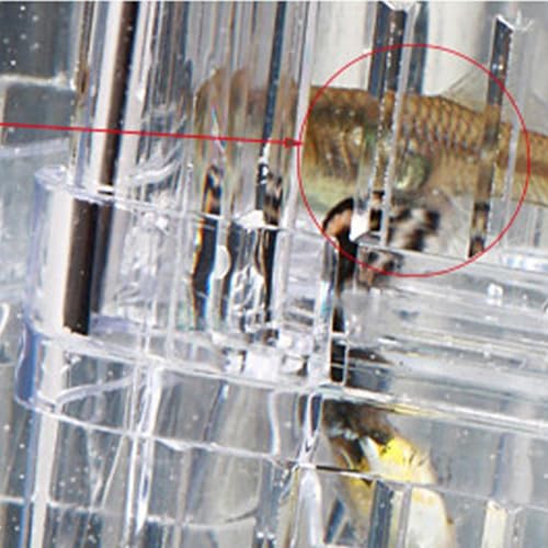 Breeder Box for Fish Tank, Transparent Floating Acclimation Hatching Incubator Box with Suction Cups, for Shrimp Guppy Platy Nursery, Hotel Lobby pet Store Cafe Aquarium Decor