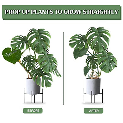 12 Pack Plant Support Stakes, 16 Inch Plant Stakes for Outdoor Plants, Peony Cages and Supports, Peony Cage with 15 Pcs Twist Ties, Flower Stakes Peonies Support Cages for Plants