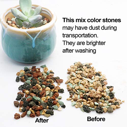 Mix Horticultural Lava Pebbles Pumice Potting Soil Amendment Succulent Cactus Bonsai Gritty Rock Decorative Gravel Plant Drainage Volcanic Rock for Terrarium Fairy Gardening Top Dressing 2.2lb