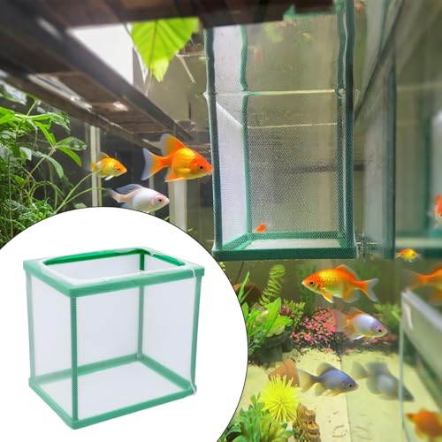 2PCS 6.69" x 5.04" x 6.38" Fish Tank Breeder Green Nylon Fish Incubator Mesh Box Aquarium Fish Fry Hatchery Breeder with Suction Cups - style: 6.69" x 5.04" x 6.38"; Green; without Divider