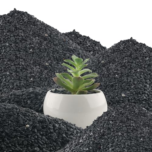 45lb Black Cactus Pea Gravel Rocks,1/4 Inch Pebbles for Indoor Plants, Natural Succulent Rock and River Rocks Decorative for Aquariums, Vases, Outdoor Gardening, Top Dressing for Potted Plants - color: Black Galaxy, size: 45LB