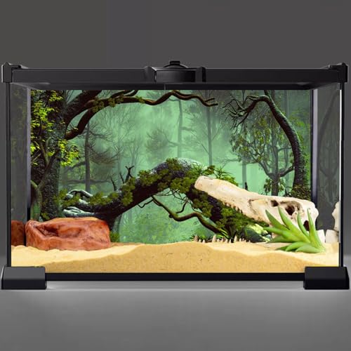 AWERT 48x18 inches Foggy Forest Terrarium Background Stone Green Tree Tropical Reptile Habitat Background Rainforest Aquarium Background Durable Polyester Background - size: 48x18in/120x45cm