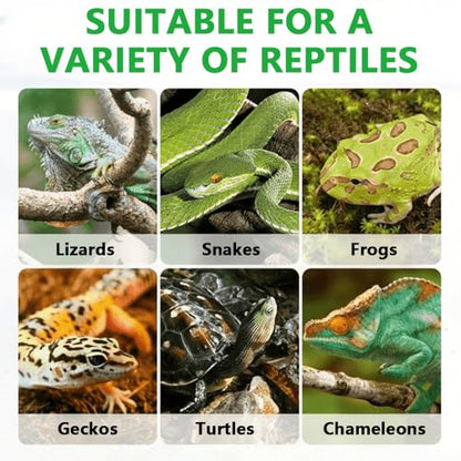 7-Pack Reptile Feeding Tools Set - 4 Feeding Tongs/Worm Tongs/Worm Scoop/Cleaning Shovels, 2 Tweezers & 1 Feeding Spoon, for Reptiles, Hedgehogs, Lizards, Spiders, Bearded Dragons