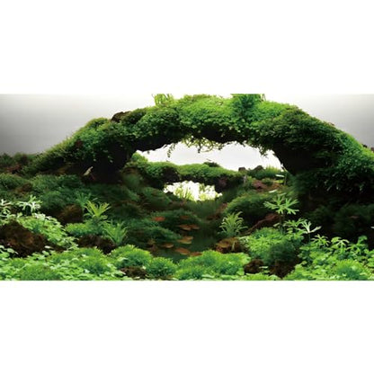 AWERT 24x16 inches Aquarium Background Green Algae Stone Aquarium Background Aquatic Plant River Bed & Lake Fish Tank Background Vinyl Background