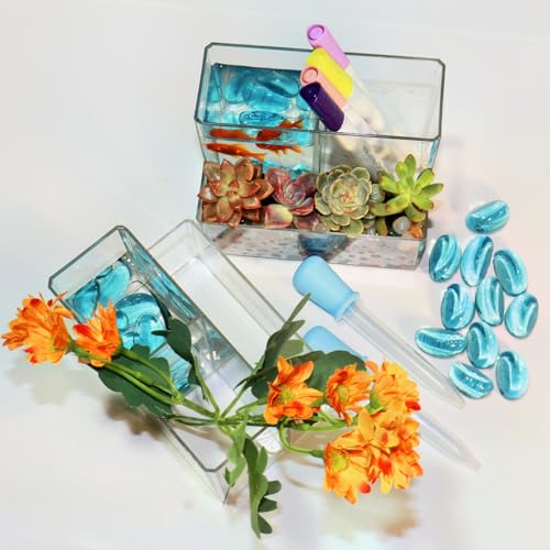 Mini Clear Acrylic Fish Tank Kit,Multifunctional Desk Aquarium Set with Tools,Pen Holder Makeup Brush Organizer,Micro Landscape Box for Home Office Decor,2 Pieces