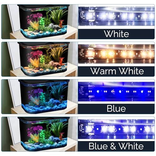 Koller Products 5-Gallon Aquarium Kit with LED Lighting and Power Filter, Ideal for a Variety of Tropical Fish