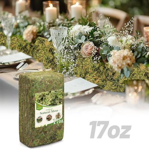 17oz Large Pack Natural Green Moss for Crafts - Bulk Moss for Plants Indoor, Artificial Fairy Gardens, Mosswall, Glass Terrariums, Filling Fake Plants, Home Decoration, Professional DIY Use - color: 17 Oz