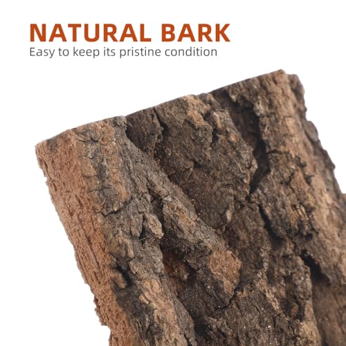 Ipetboom 3 Pcs Natural Cork Bark Terrarium Background 7.87X4.13X0.59In Reptile Tank Decor Aquarium Bark Wall Habitat for Gecko Lizard Tortoise Frog