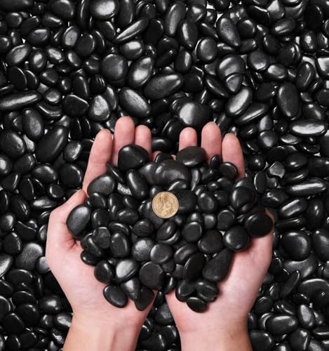 10 Pound River Rocks, 1-2 Inches Polished Pebbles for Plants, Fish Tank, Clear Vase and More, Natural Black Stones - color: Black, size: 0.8-1.3"-10lb