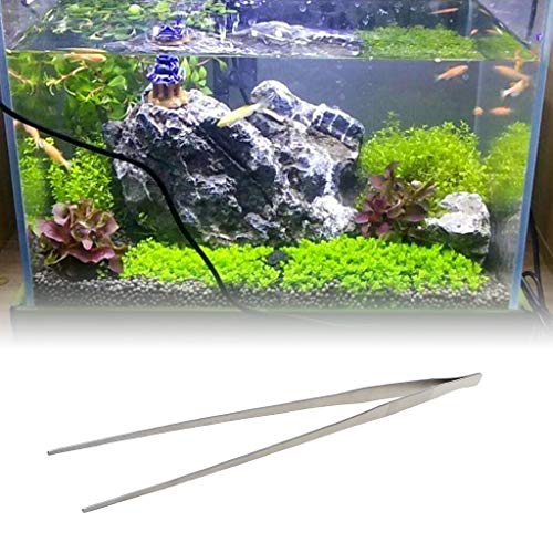 19in Aquarium Tweezers Stainless Steel Straight Tweezer for Against Rust Reptiles Feeding Tongs