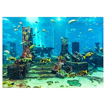 Fdit PVC Aquarium Background Underwater Poster Fish Tank Wall Decorations Sticker for Aquarium (61 * 41cm)