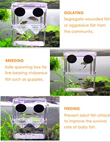 Acrylic Floating Fish Hatchery Isolation Box, Double Layer Fry Hatching Incubator Breeding Rearing Trap, Aquarium Tank Fish Parenting Container Divider with Suction Cups