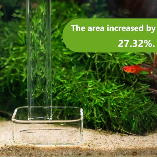 LINLAN 13.78 Inch Glass Shrimp Feeder, Aquarium Feeding Tube and Square Bowl with Two Suction Cups to Prevent Food from Spreading, for Crystal Shrimp and Cherry Shrimp