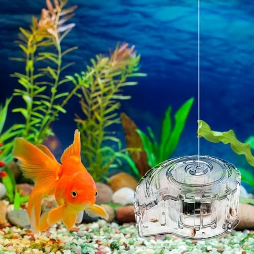 Effective Planaria Catcher Planaria Trap Transparent Planaria Catcher Clear Snail Catch Box for Efficient Aquatic Control