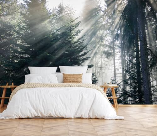 Silk Cloth Wall Sticker Decoration, Forest in The Fog Mural-203, Non-self-Adhesive, Waterproof, Wall - color: Mural-203, size: 149" x 96"