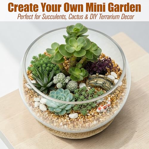 10'' Lotus Bowl Planter - Large Clear Glass Lily Flower Hydroponic Fish Tank with Braided Mat, Indoor Succulent Aquatic Plant Bonsai Terrarium Table Centerpiece Pot, No Drainage Hole Floral Round Vase