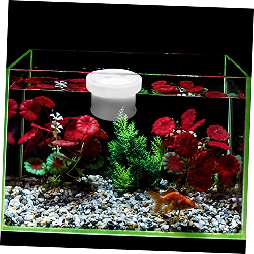 Healifty Floating Acrylic Fish Breeding Box with Removable Cover and Water Permeable Bottom Fish Separator for Aquarium Hatchery Suitable for Fry Incubation