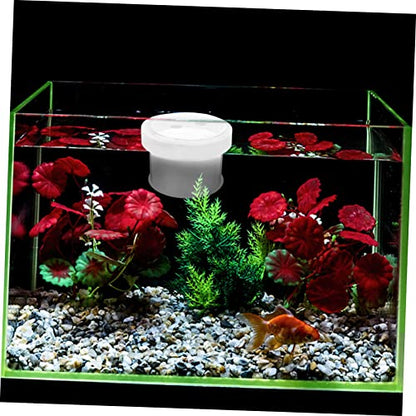 Healifty Floating Acrylic Fish Breeding Box with Removable Cover and Water Permeable Bottom Fish Separator for Aquarium Hatchery Suitable for Fry Incubation