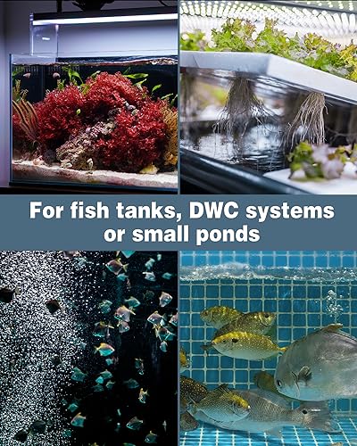 Pawfly Aquarium Hemispherical Air Stone for Air Pump Fish Tank Air Stone Disc Bubbler Round Micro Bubble Release Tool Oxygen Diffuser for Fish Tanks Buckets Small Ponds and DWC System
