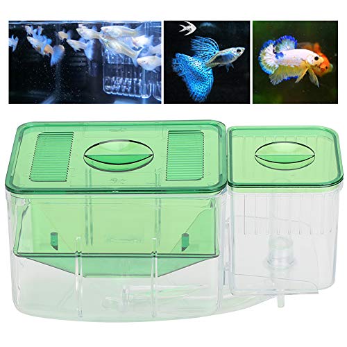 Fish Breeding Box, Transparent Aquarium Little Fish Breeding Hatching Box, Fish Tanks Double Layer Isolation Box Hatchery Incubator for Injured Small Fish Shrimp