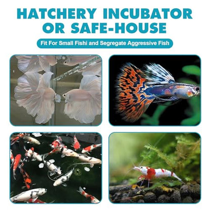 Floating Fish Breeding Box, Acrylic Fish Isolation Box for Aquarium Tank, Hatchery Incubator Breeder for Betta Shrimp Clownfish Guppy (Large)