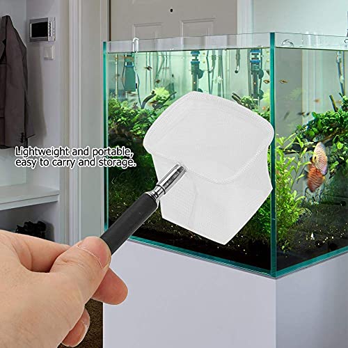 Fdit Adjustable Mini Fishing Net Pole for Aquarium, 20-57.5cm Expandable, Stainless Steel, Black, for Shrimp and Small Fish