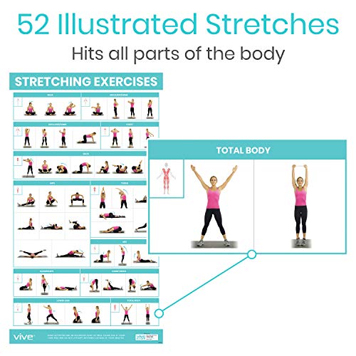 Vive Workout Posters for Home Gym - 52 Streching Exercises Full Body